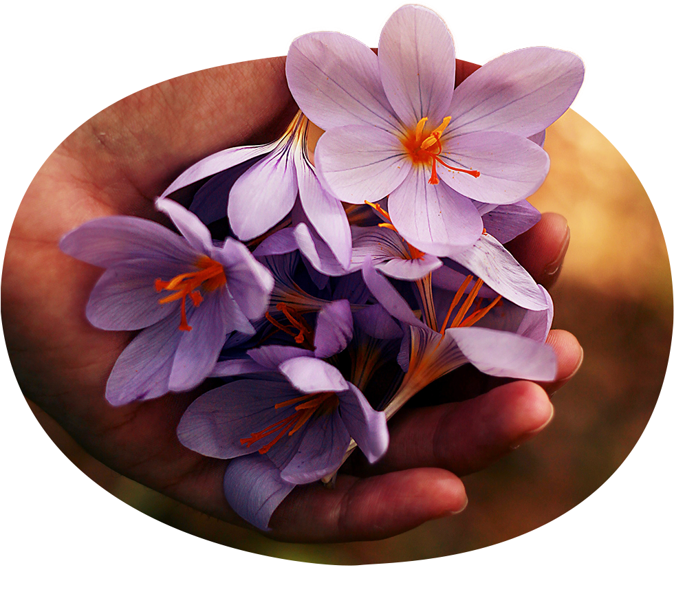 Accompagnement - Dordives Sud Seine et Marne et Loiret