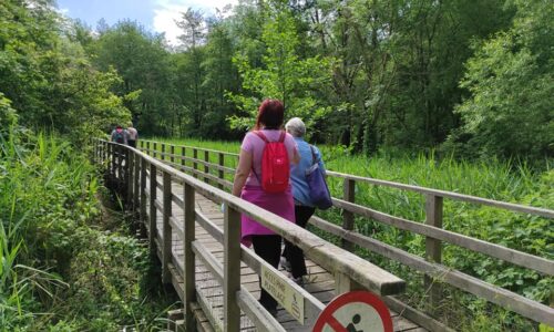 Particuliers - Dordives Sud Seine et Marne et Loiret